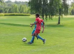 独家推荐,佳绩,赞赏立享精,新葡京,新葡京app,新葡京娱乐,新普京赌场