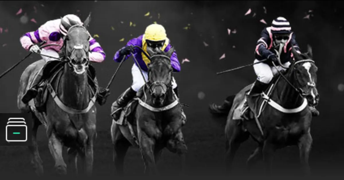 五大联赛直,塞王榜单,吉马良斯与,新葡京,新葡京app,新葡京娱乐,新普京赌场